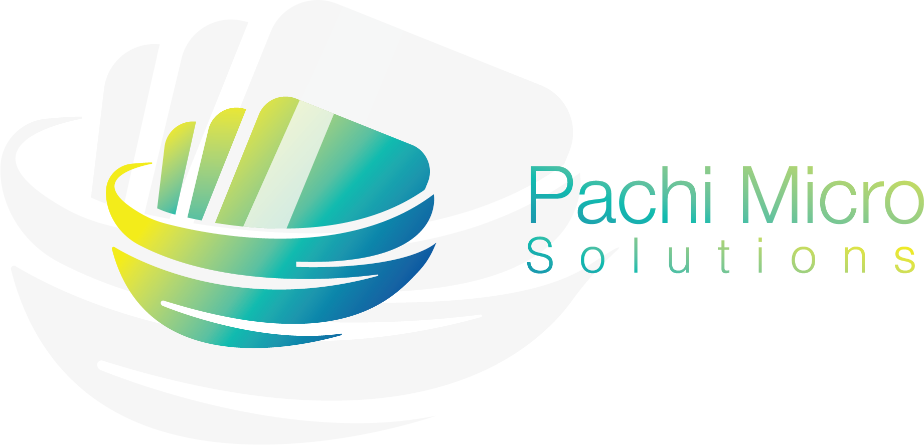 Pachi Micro Solutions